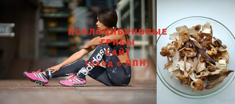 купить  сайты  mega онион  Псилоцибиновые грибы Psilocybe  Верхнеуральск 